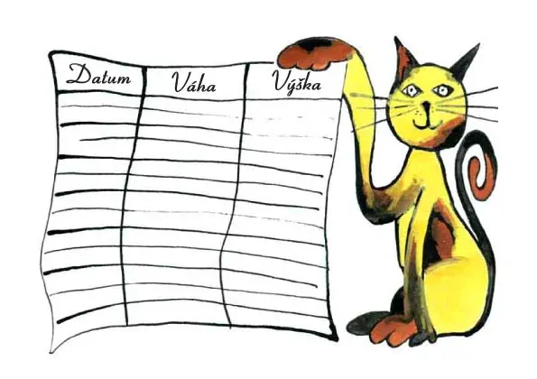 Můj památníček